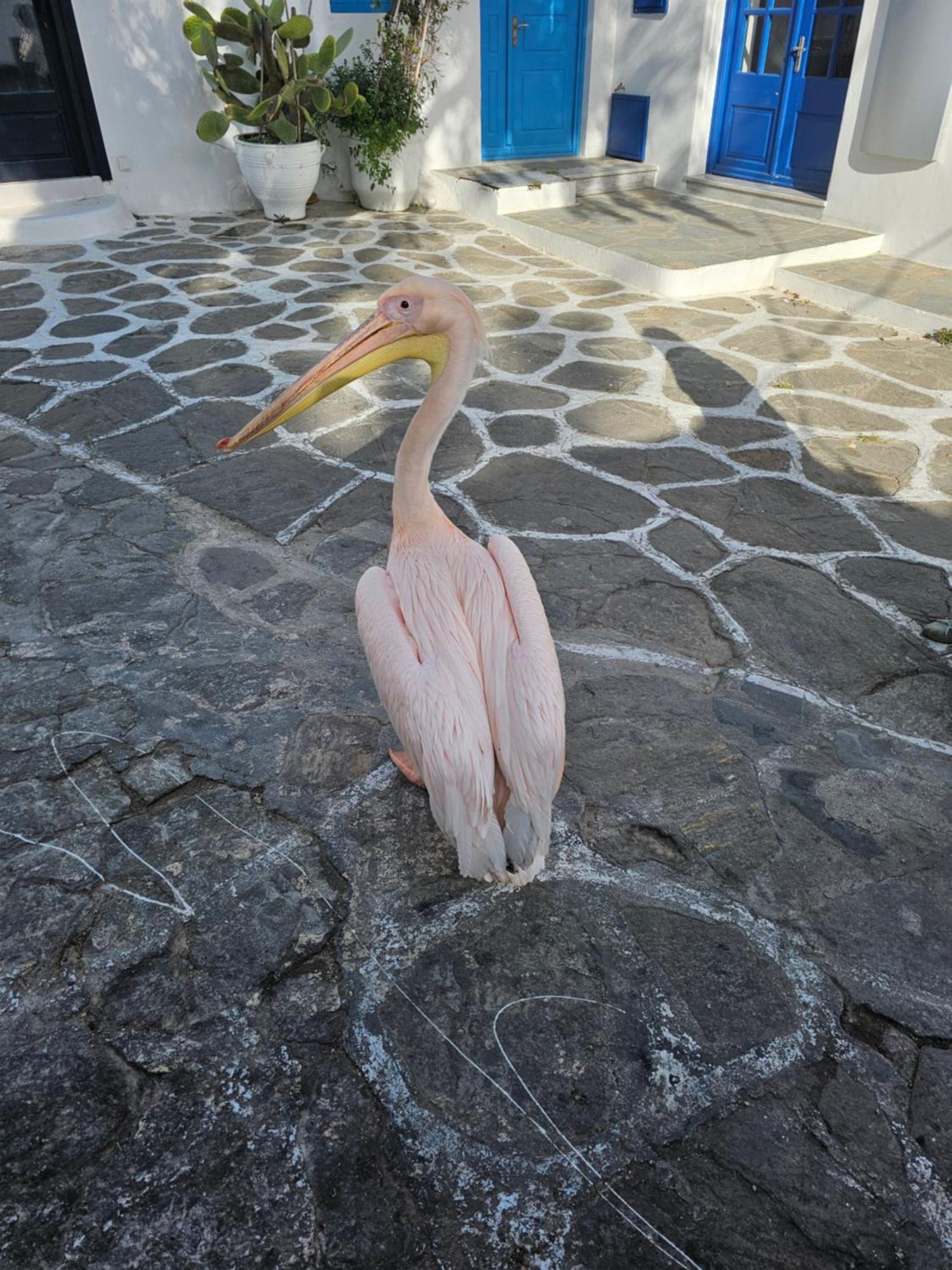 Classy Classic Mykonos Town 외부 사진